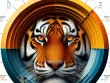 Œil de tigre : sa densité et ses propriétés physiques